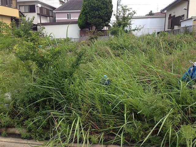 名古屋で草刈りは任せて！